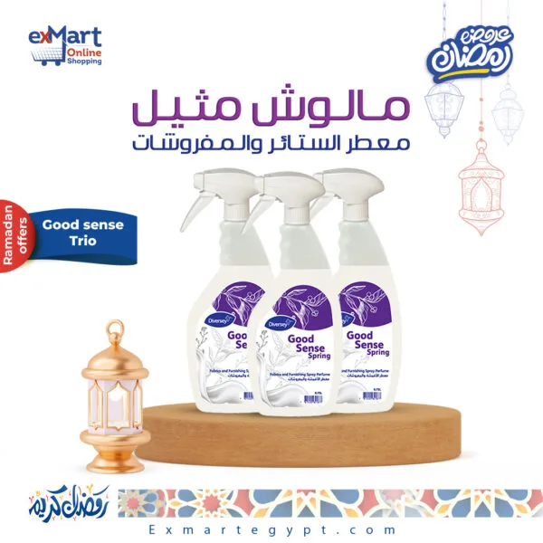 Ramadan 2025 good sense trio