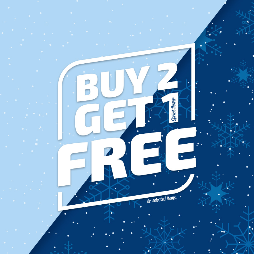 website offer banner 2